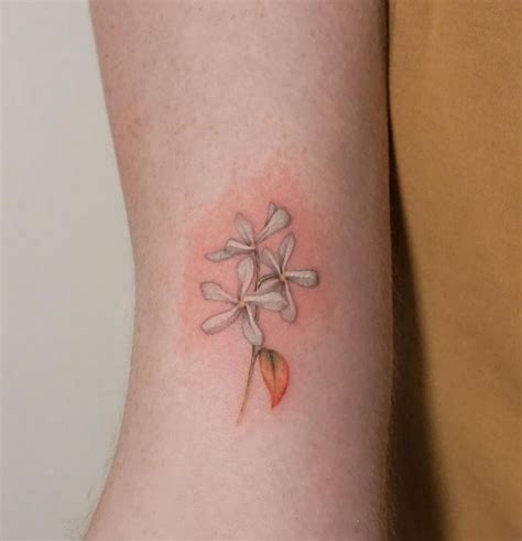 100 Amazing Jasmine Tattoo Designs with Meanings。